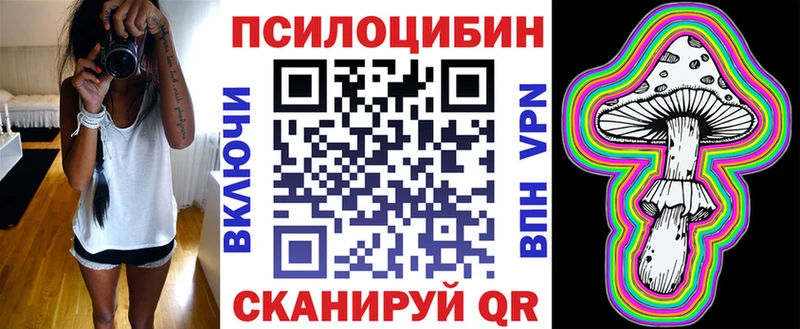 ОМГ ОМГ как зайти  Почеп  Псилоцибиновые грибы Psilocybe 
